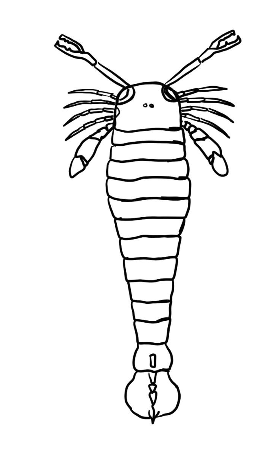 Pterygotus, a giant underwater relative of modern scorpions. Late Devonian Late Devonian 360 75% perished in a long climate shift leading to depleted oxygen in oceans.