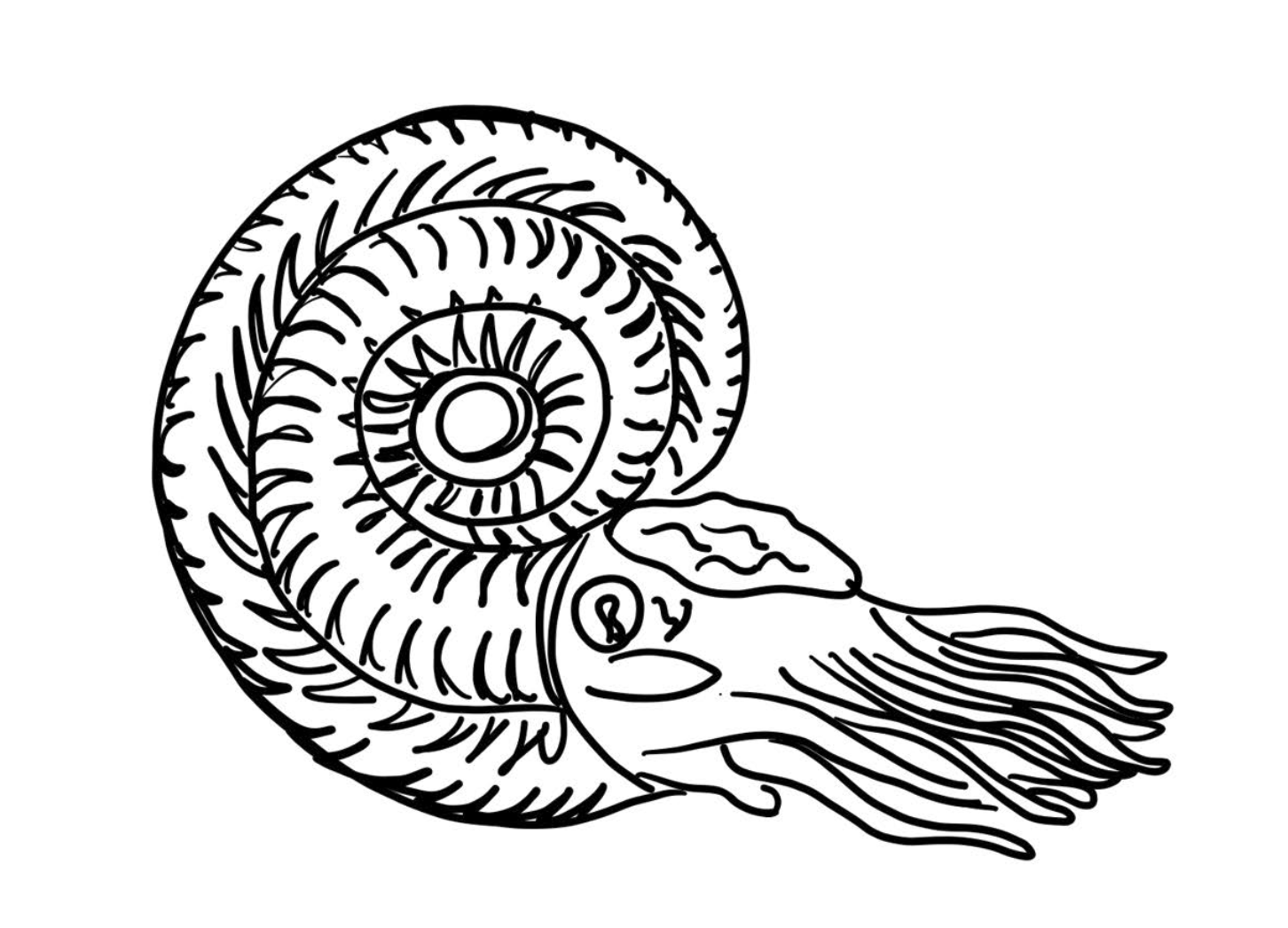 Goniatites, a cephalopod. Permian - Triassic 252 96% marine and 70% land perished - Volcanism leading to acidic oceans
