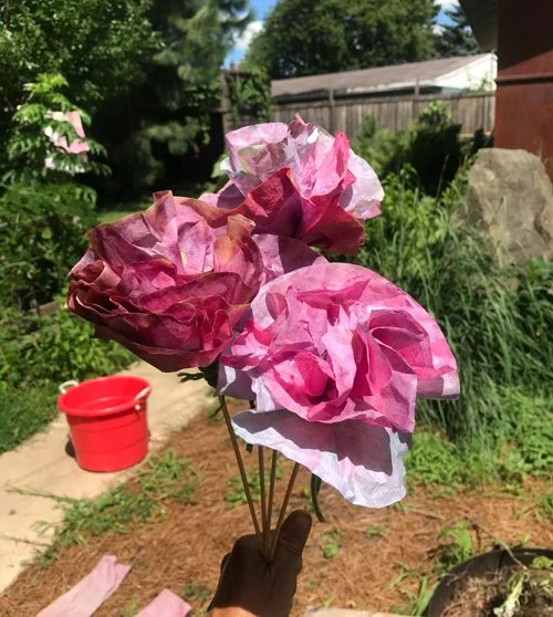 cabbage dye flowers.jpg