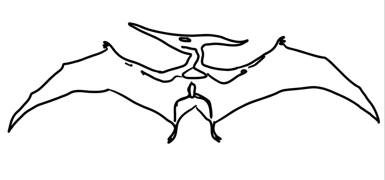 Pteranodon: Cretaceous - Paleogene 66 75% all non avian dinosaurs perished Chicxulub asteroid 
