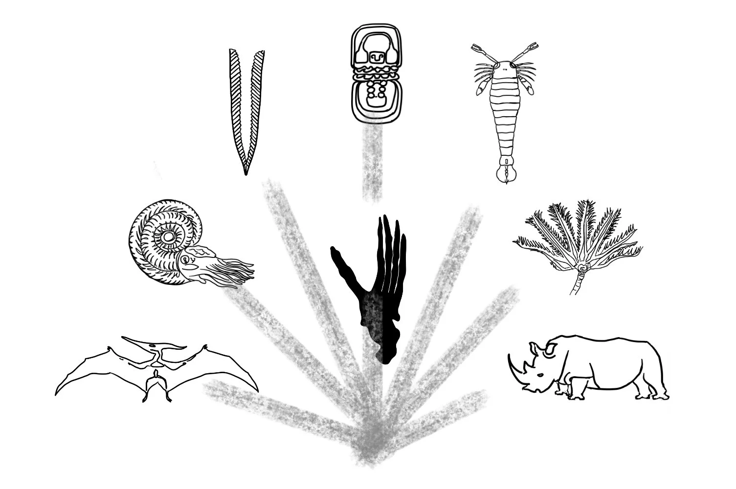 The layout for the sundial