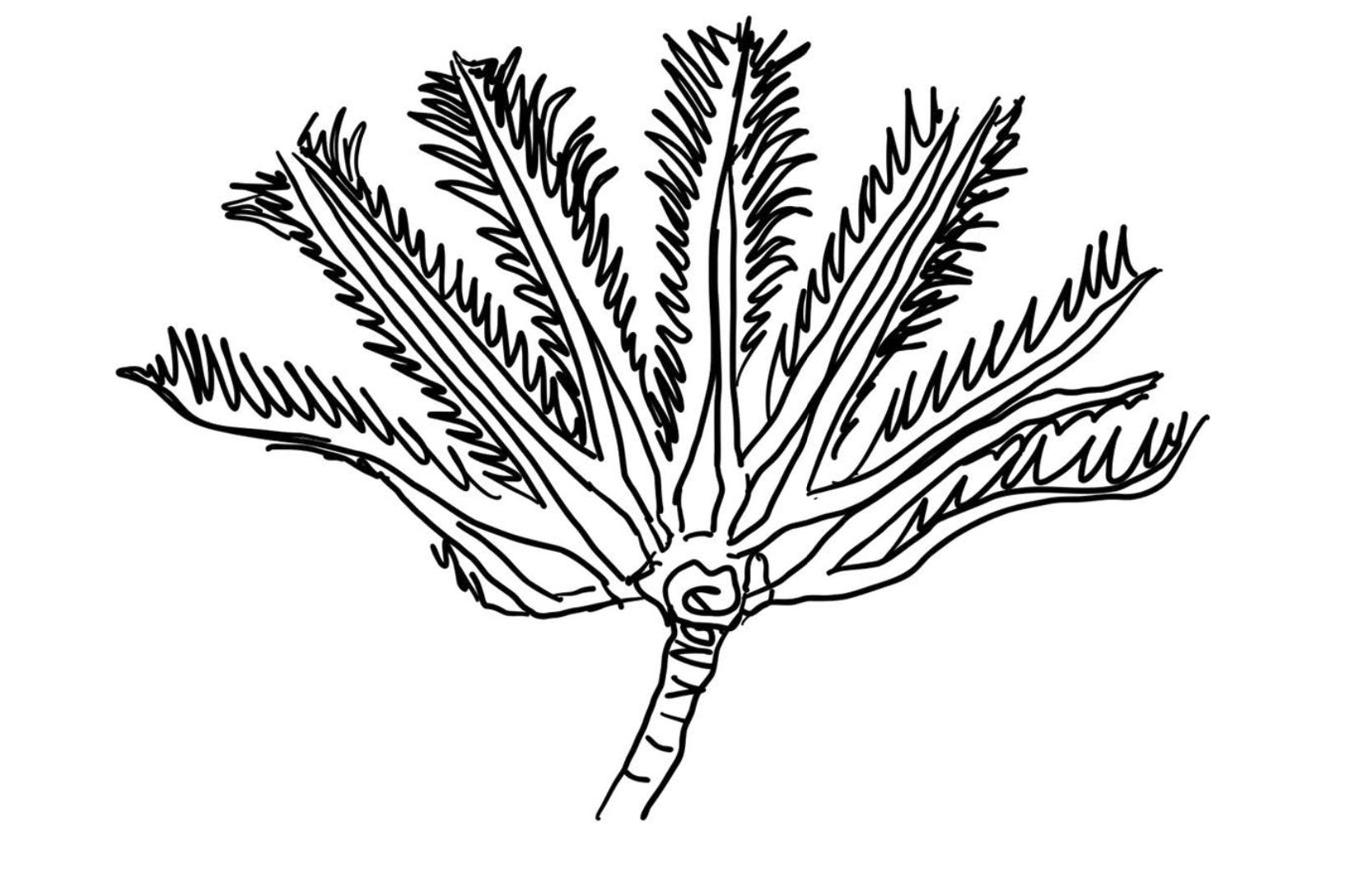 Crinoid: Triassic - Jurassic 201 80% Volcanism leading to too much CO2 in air, leading to the collpase of entire reef ecosystems. We still have many crinoids, but this specific one, Traumatocrinus, a large crinoid variety, perished.