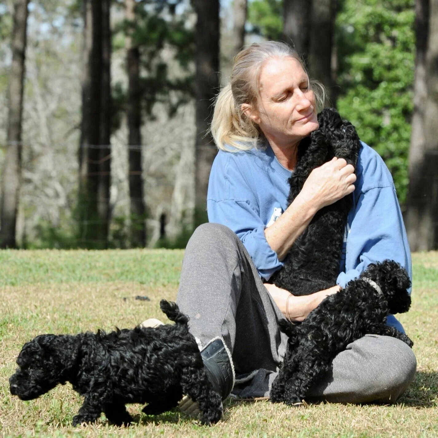 Kerry Blue Terrier Foundation | Support Kerry Blues Today