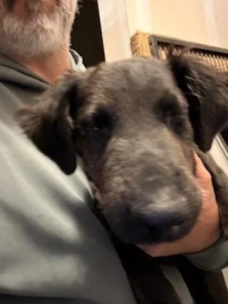 Coming Soon: Trixie