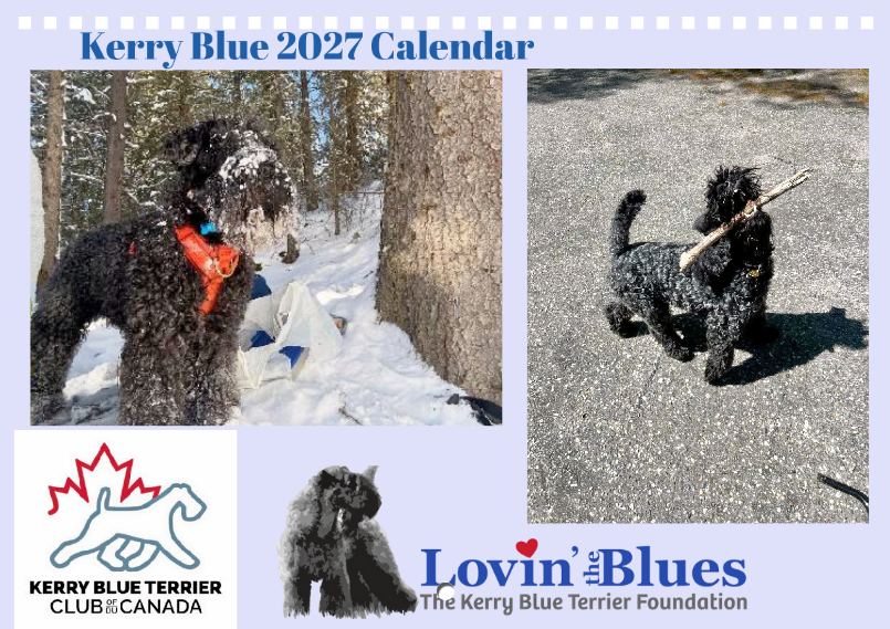 KBTF Y2027 calendar cover.png