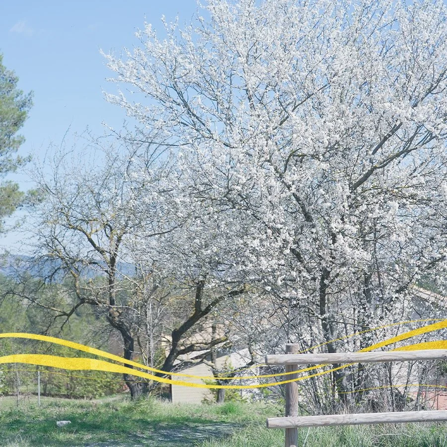 Seven-Month Retreat Ishana 2026/2027