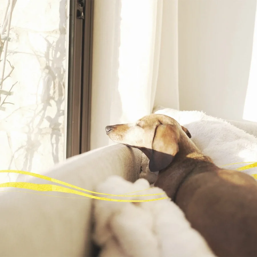 Five-Month Retreat Ishana 2026/2027