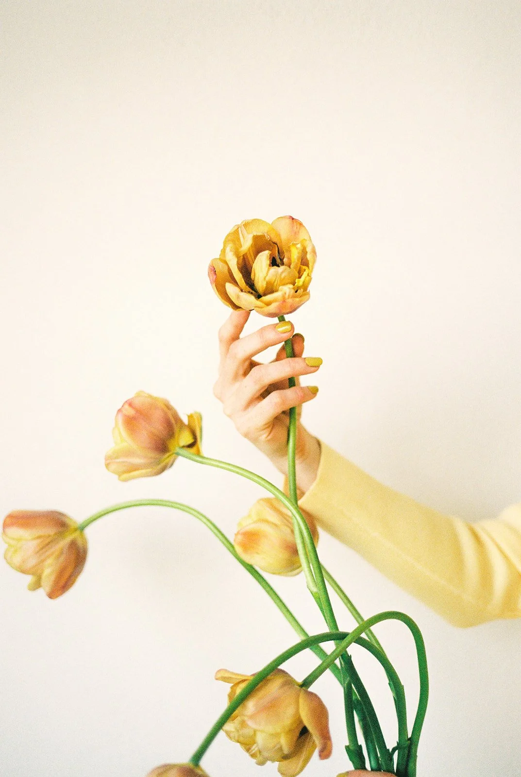 Krista - LJF brand shoot-73.jpg