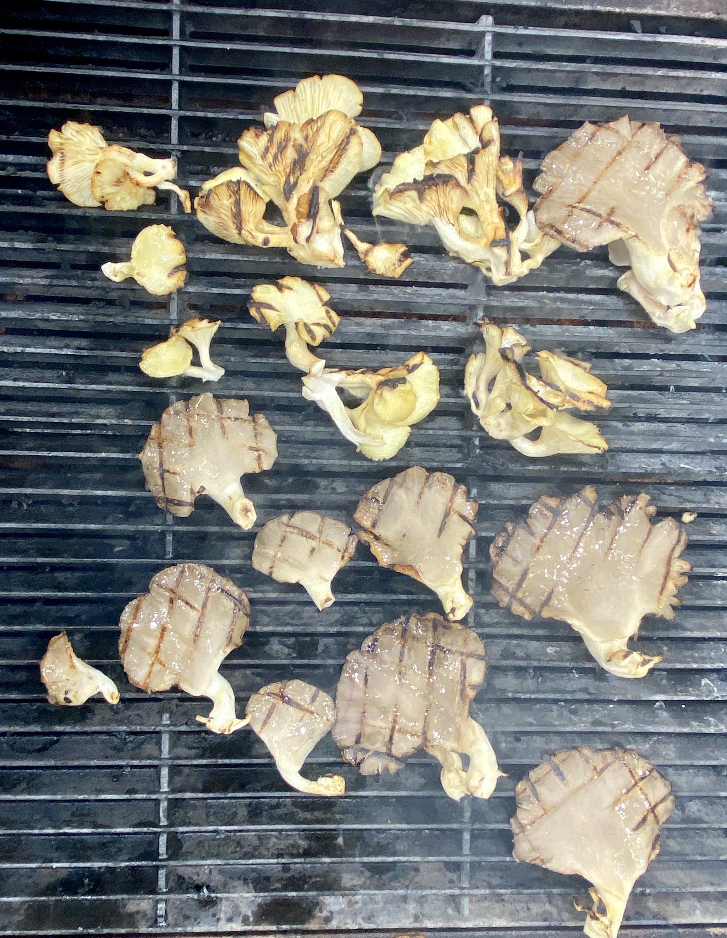 ELEVATE YOUR GRILL GAME