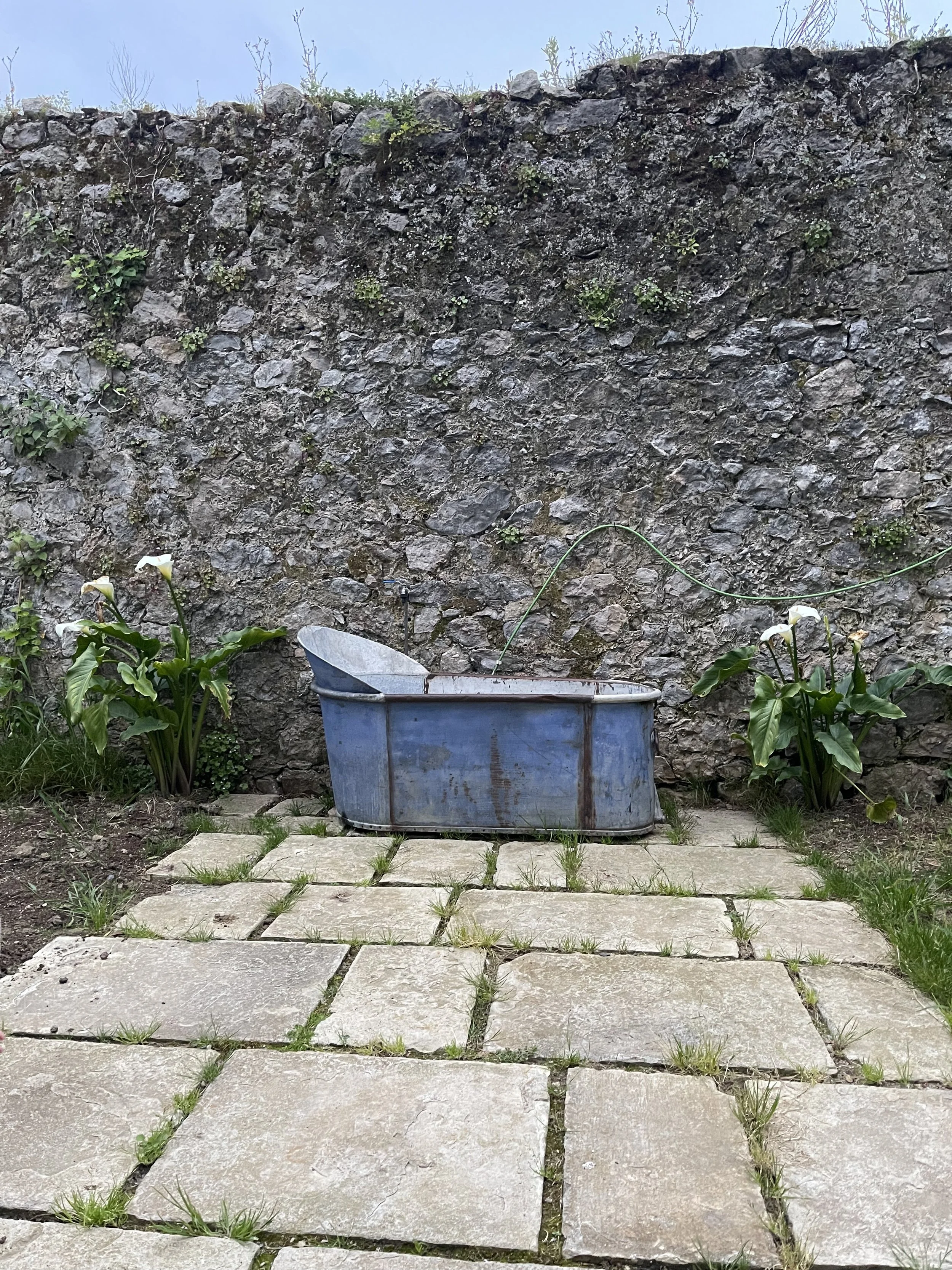 jardinera_casadeindianos.jpg
