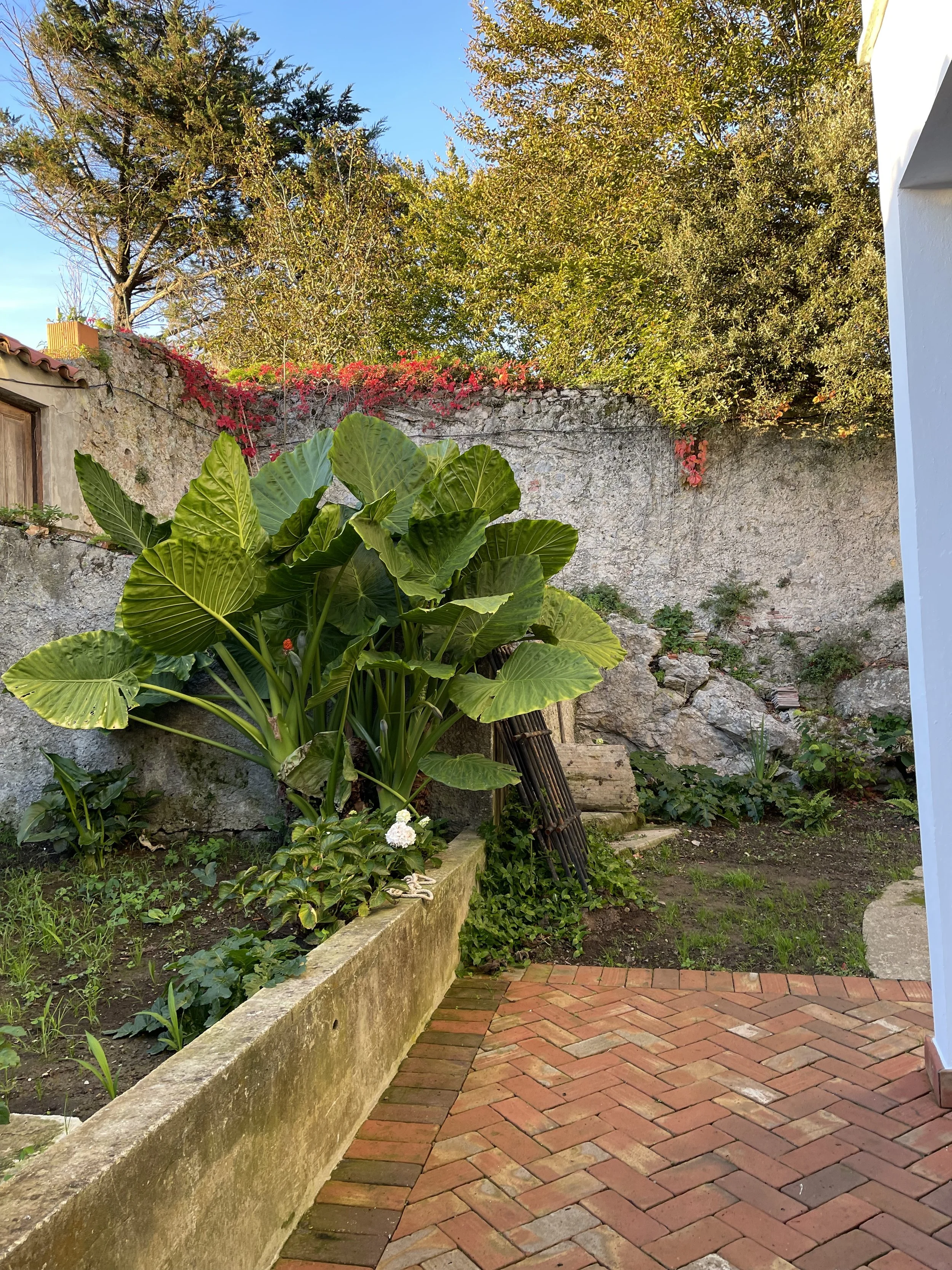 exterior_casaindianos.jpg