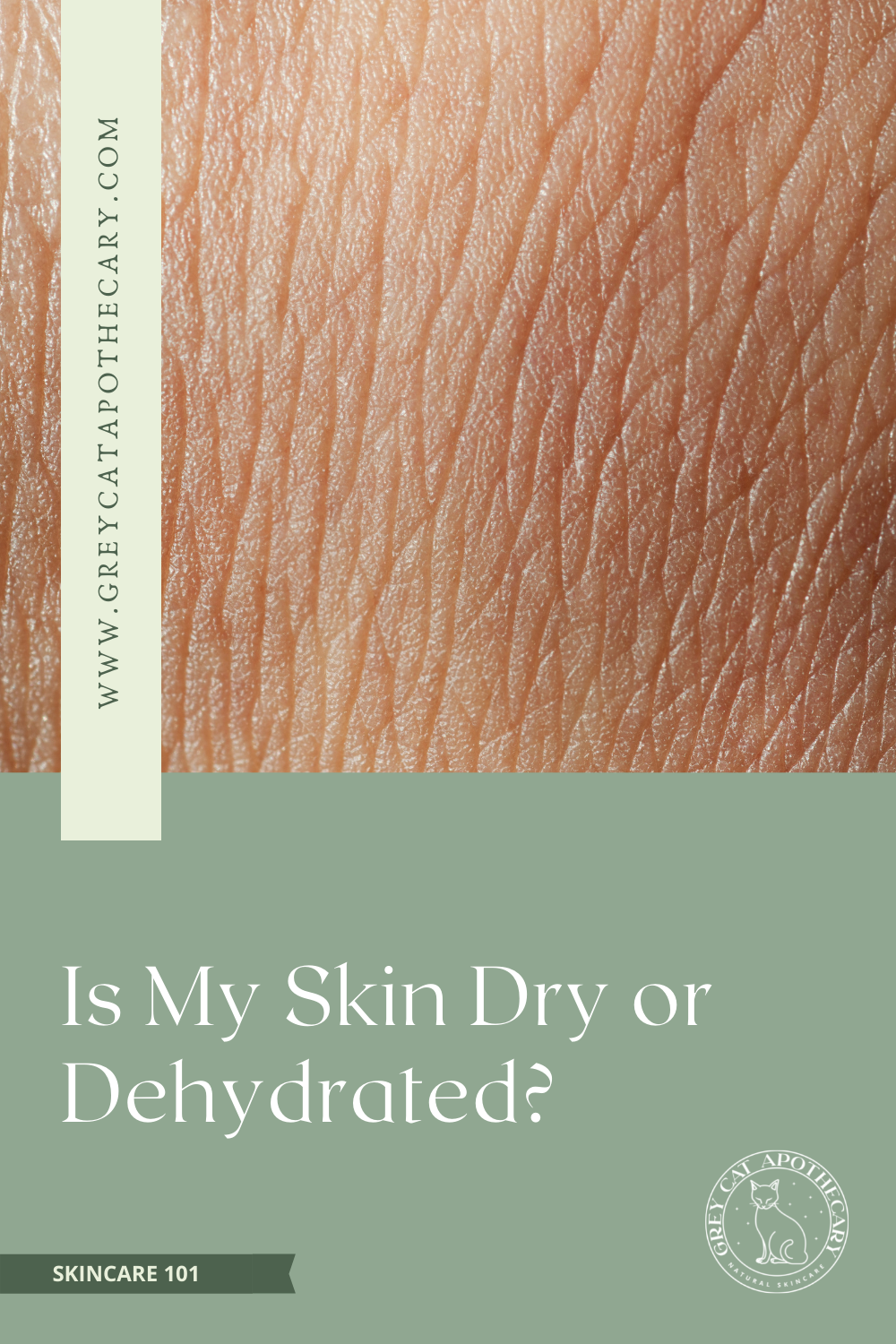 Dry Vs. Dehydrated Skin