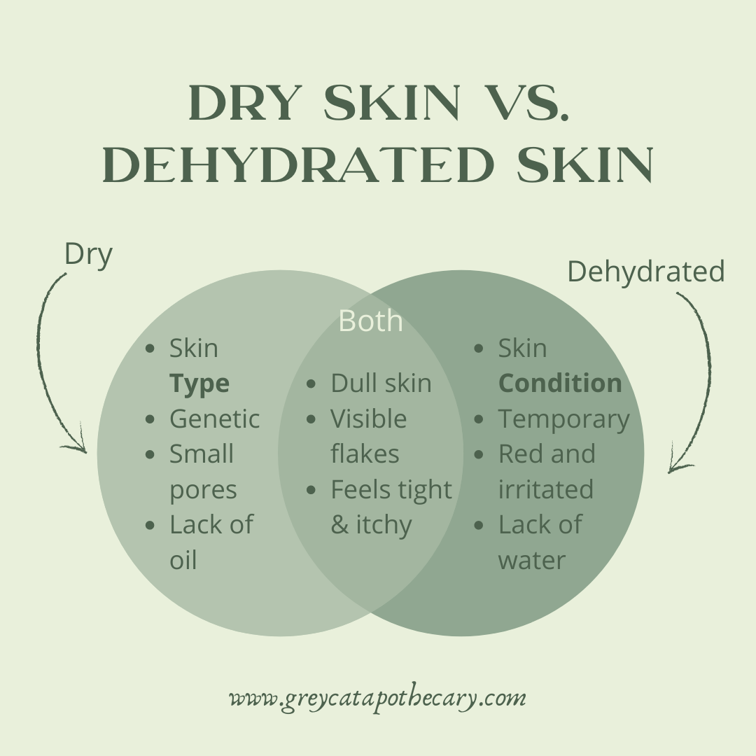 Dry-Skin-Vs-Dehydrated-Skin Venn Diagram