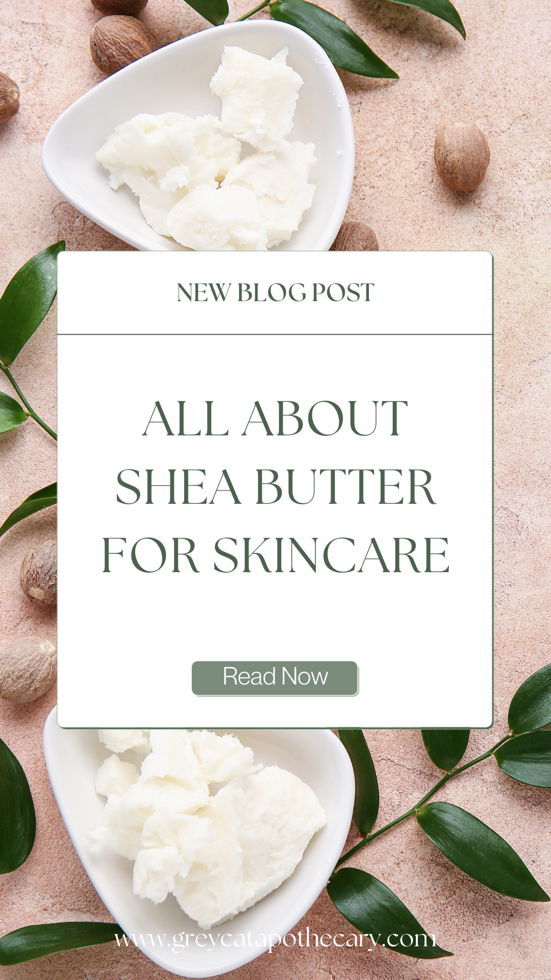 All About Shea Butter For Skincare