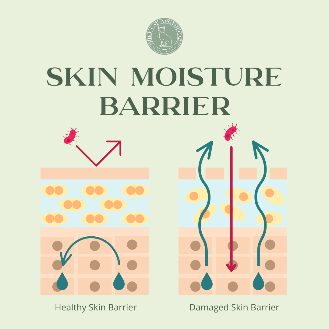 Moisture Barrier Diagram