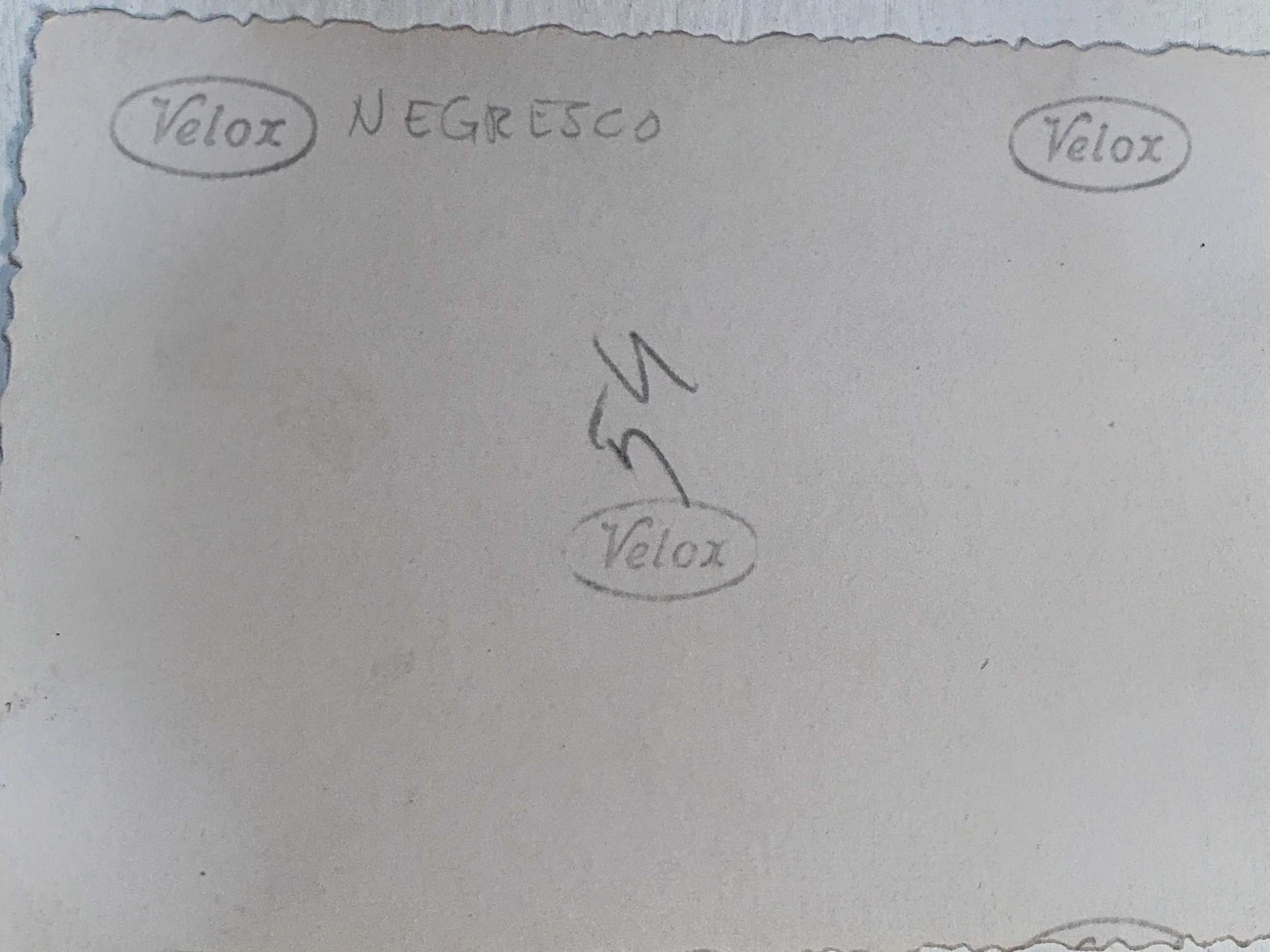 785603055.857887.jpg