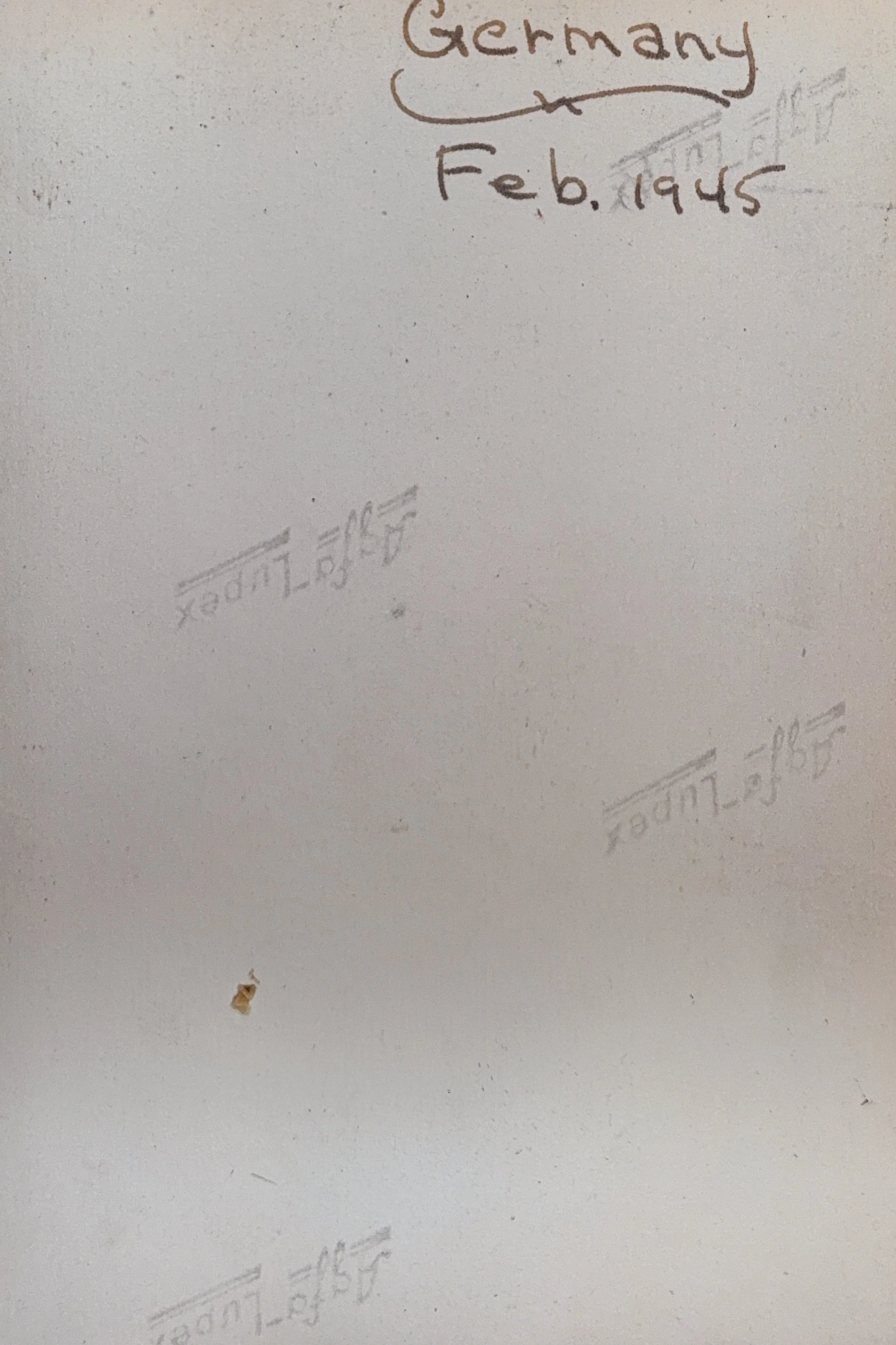 785544318.664055.jpg