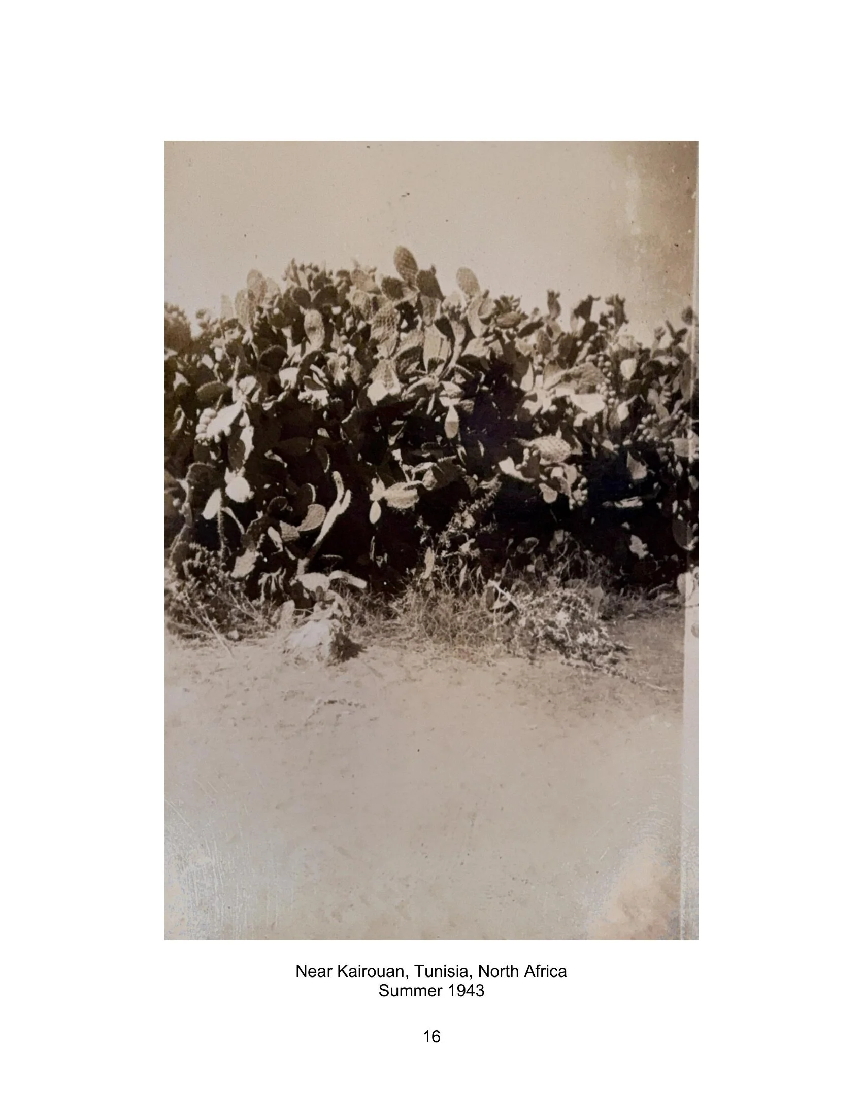 Joseph G Clowry WWII Photo Album_070626-016.jpg