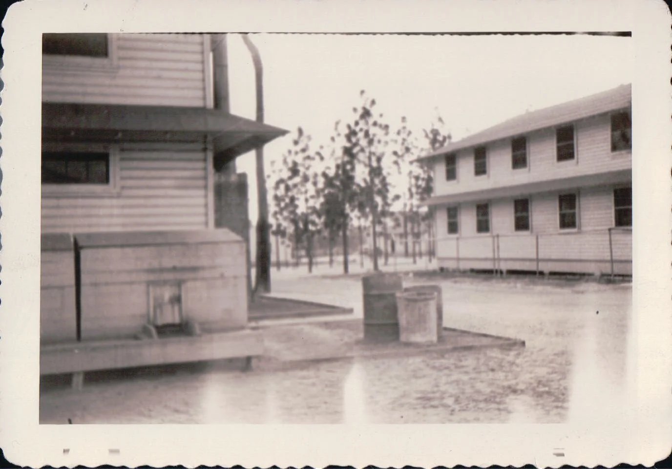 PD_0004.JPG