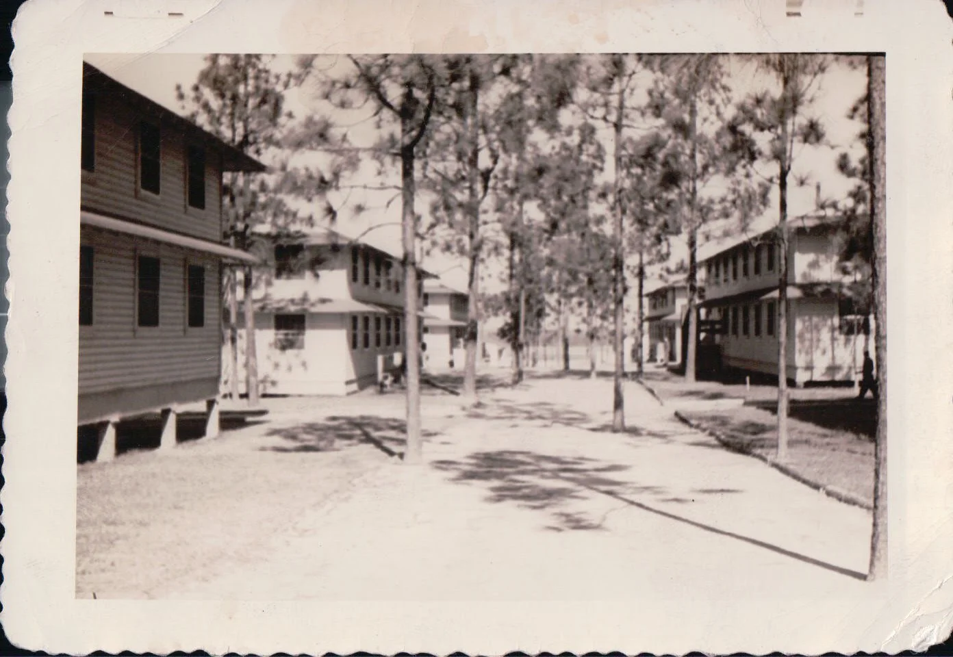 PD_0006.JPG
