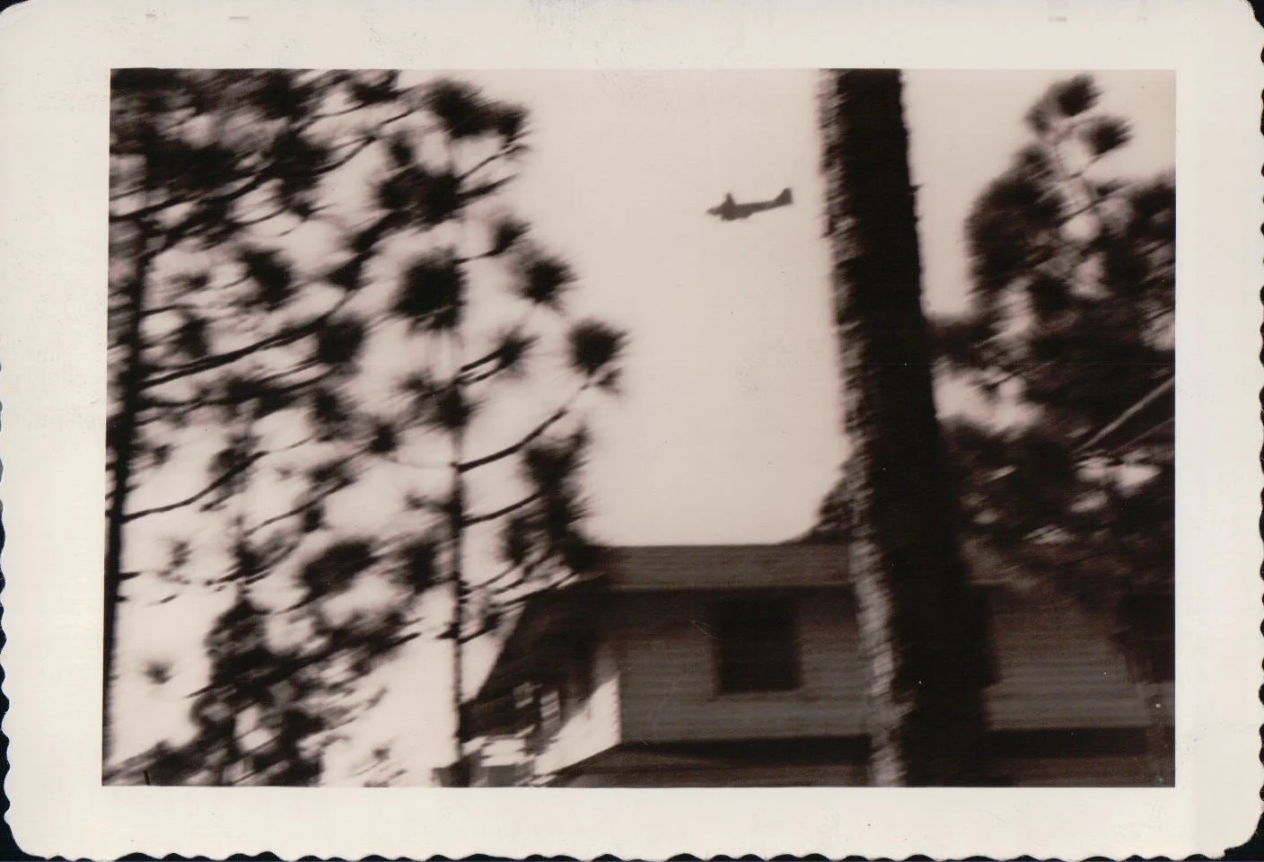 PD_0015.JPG