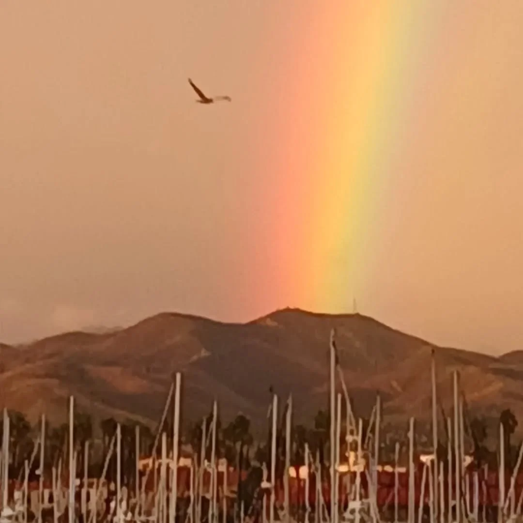 Wow! What a Beautiful Rainbow🌈 after the Storm!

#rainbow #ventura #smallbusiness