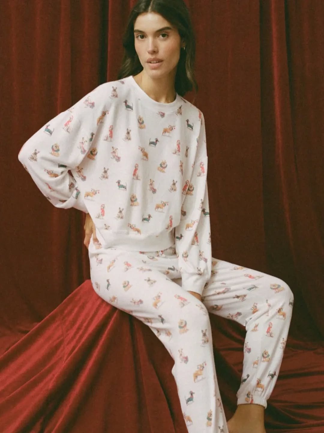 Super Soft Z SUPPLY Cozy Up Pup Loungewear🐶 Perfect for Yourself or Gift Giving🎁 

#zsupply #zsupplylounge #holiday #gift #dogpajamas #cozy