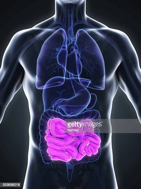 Ileoscopy: What It Is, How To Prepare & What To Expect — Good Gut Feelings