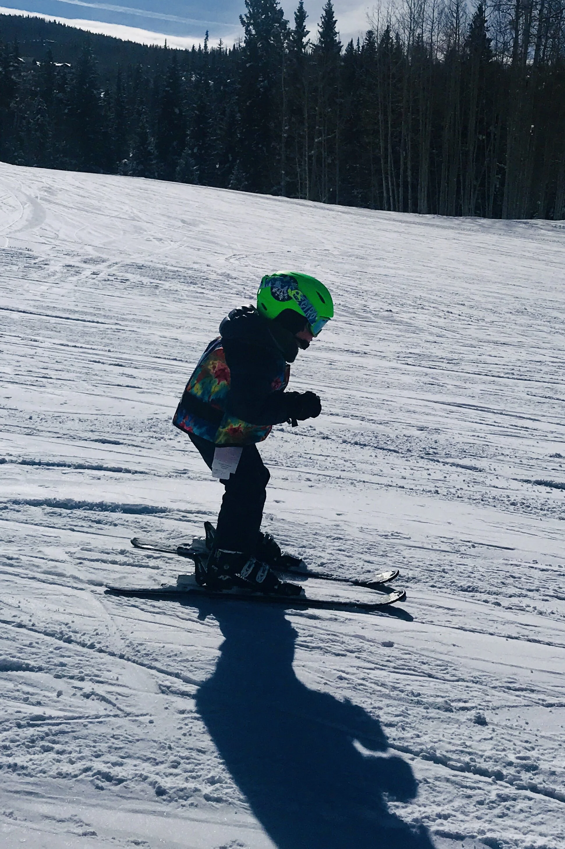 Telluride Ski Instructor — Blue Sky Life Care