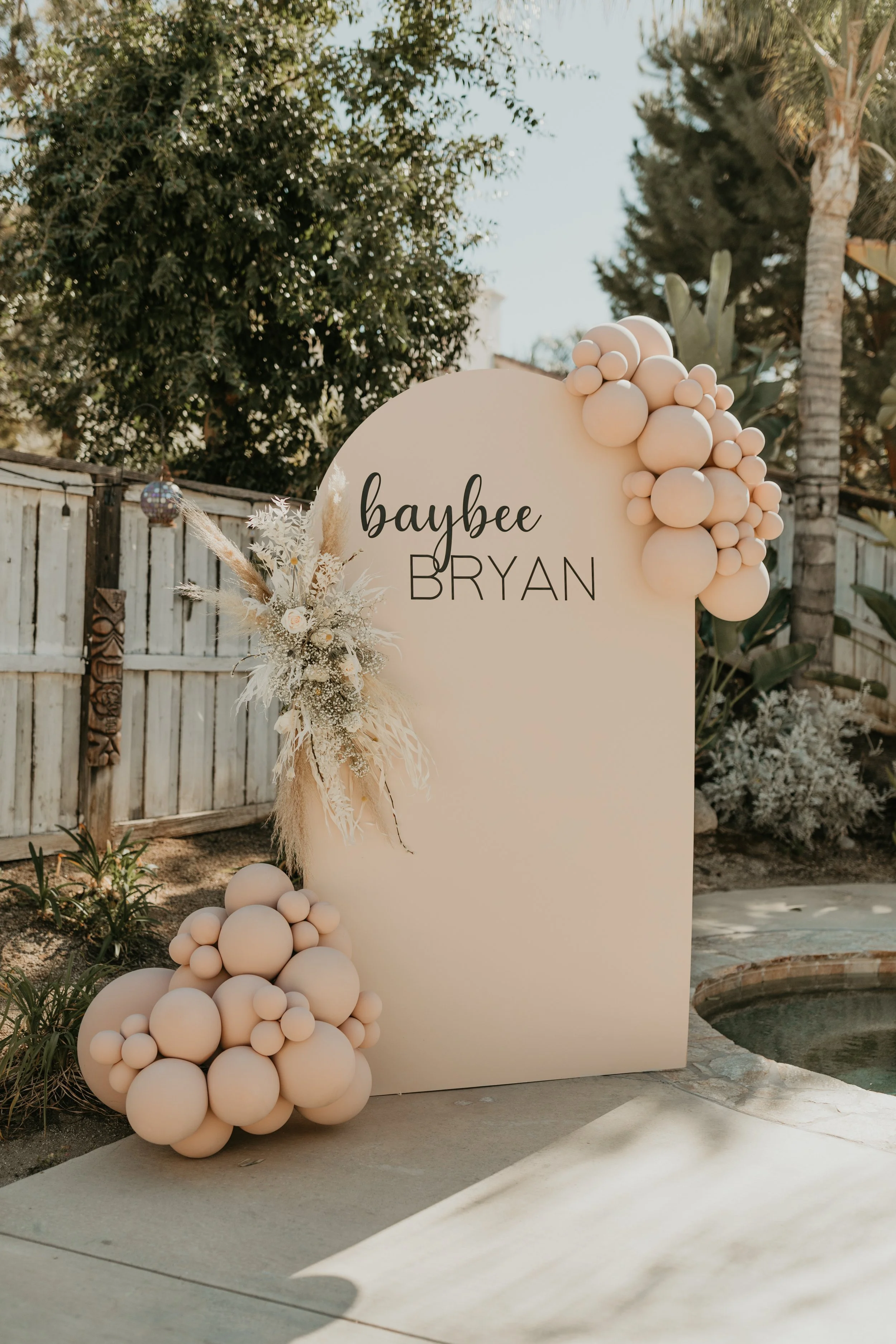 1Pcs Panel Backdrop and Balloons