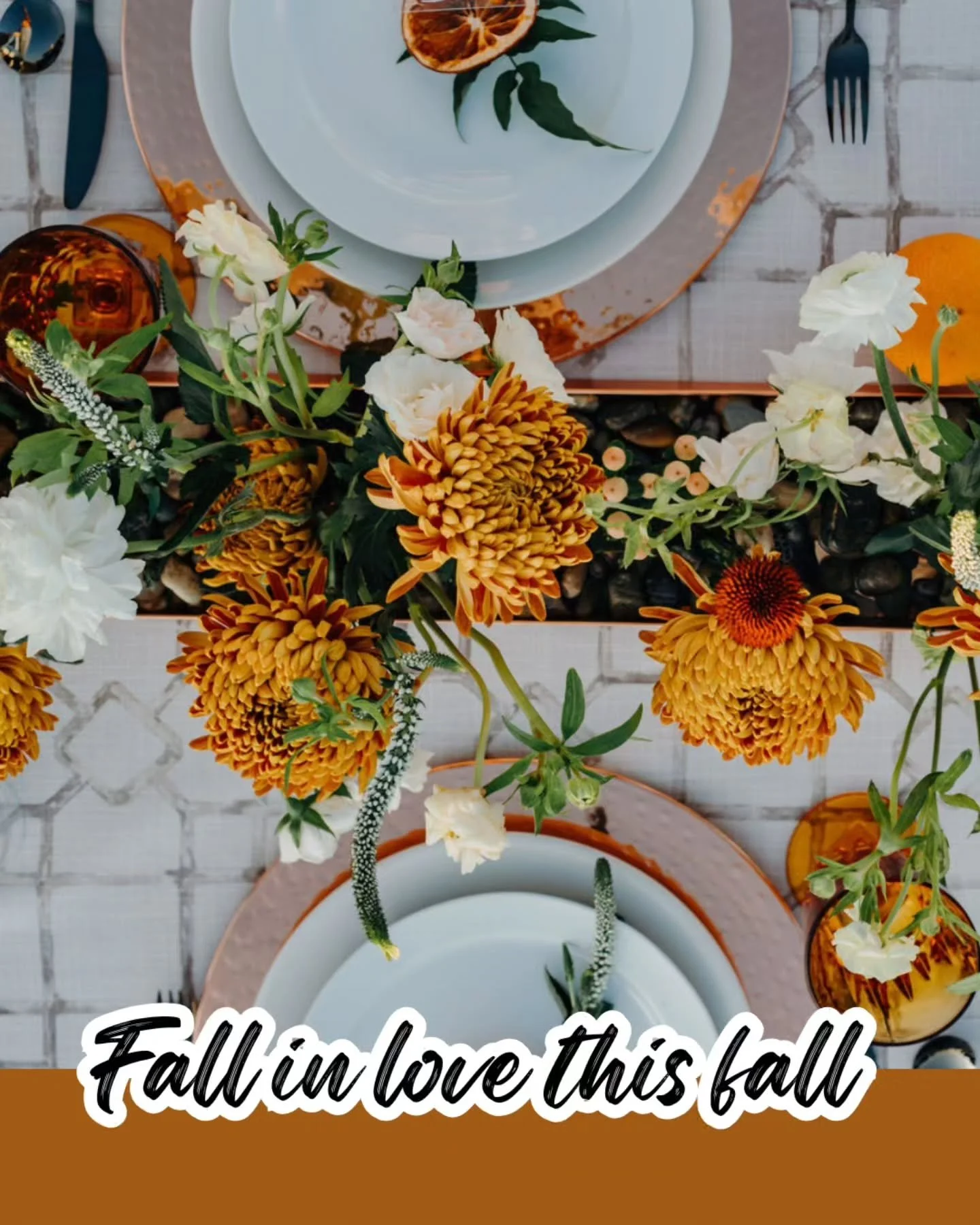 Fall in love with fall 🍂🍁
Venue @lmestate 
Design @citruscityevents
Photography @mariela_campbell 
Floral @thenatureofthings @artbythestem @lovelyambiance
Linen bbjlinen
Rentals Ruckus Party
Catering @jamesmadisoncatering
Officiant @yourweddingbell