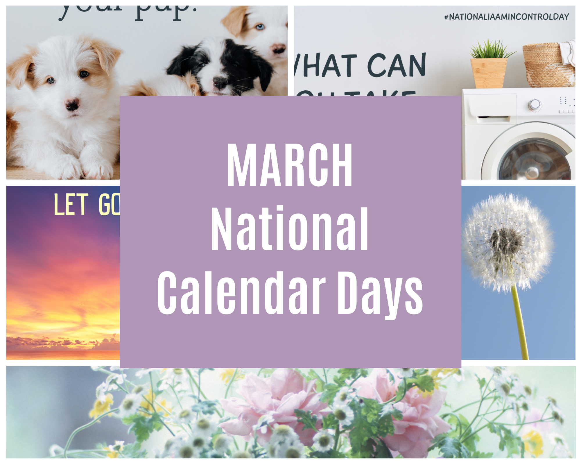 March National Calendar Days Graphics (15)
