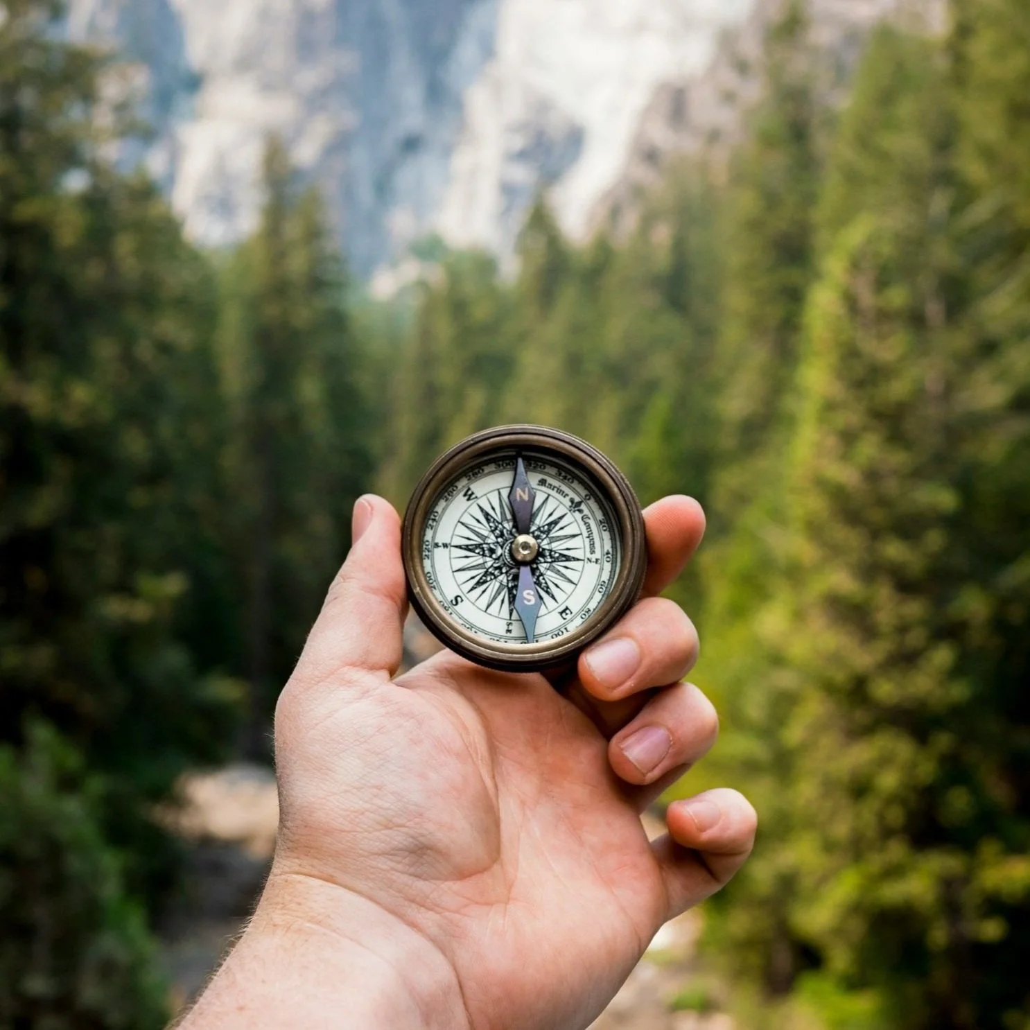 jamie-street-_94HLr_QXo8-unsplash.jpg