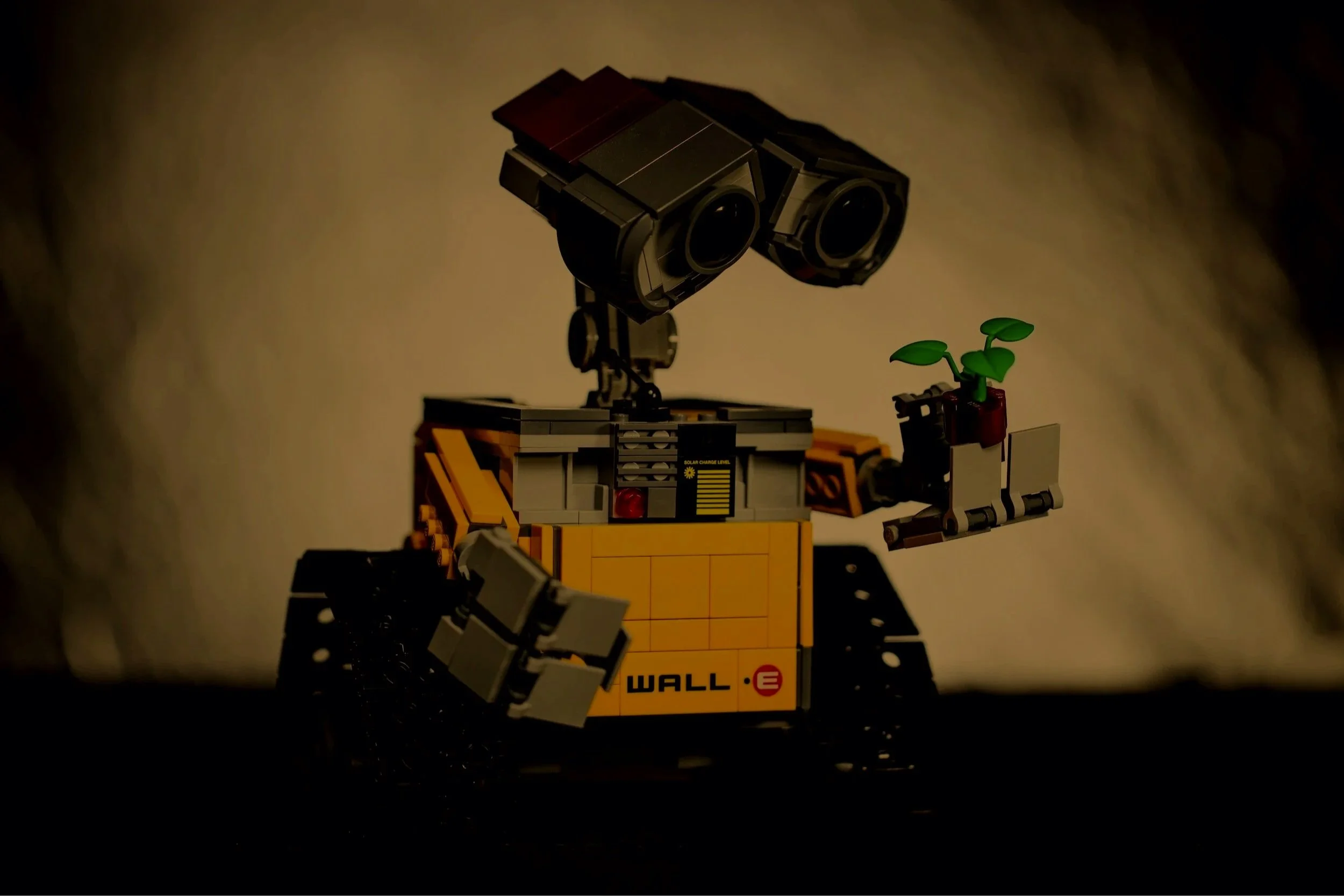 image-asset.jpg