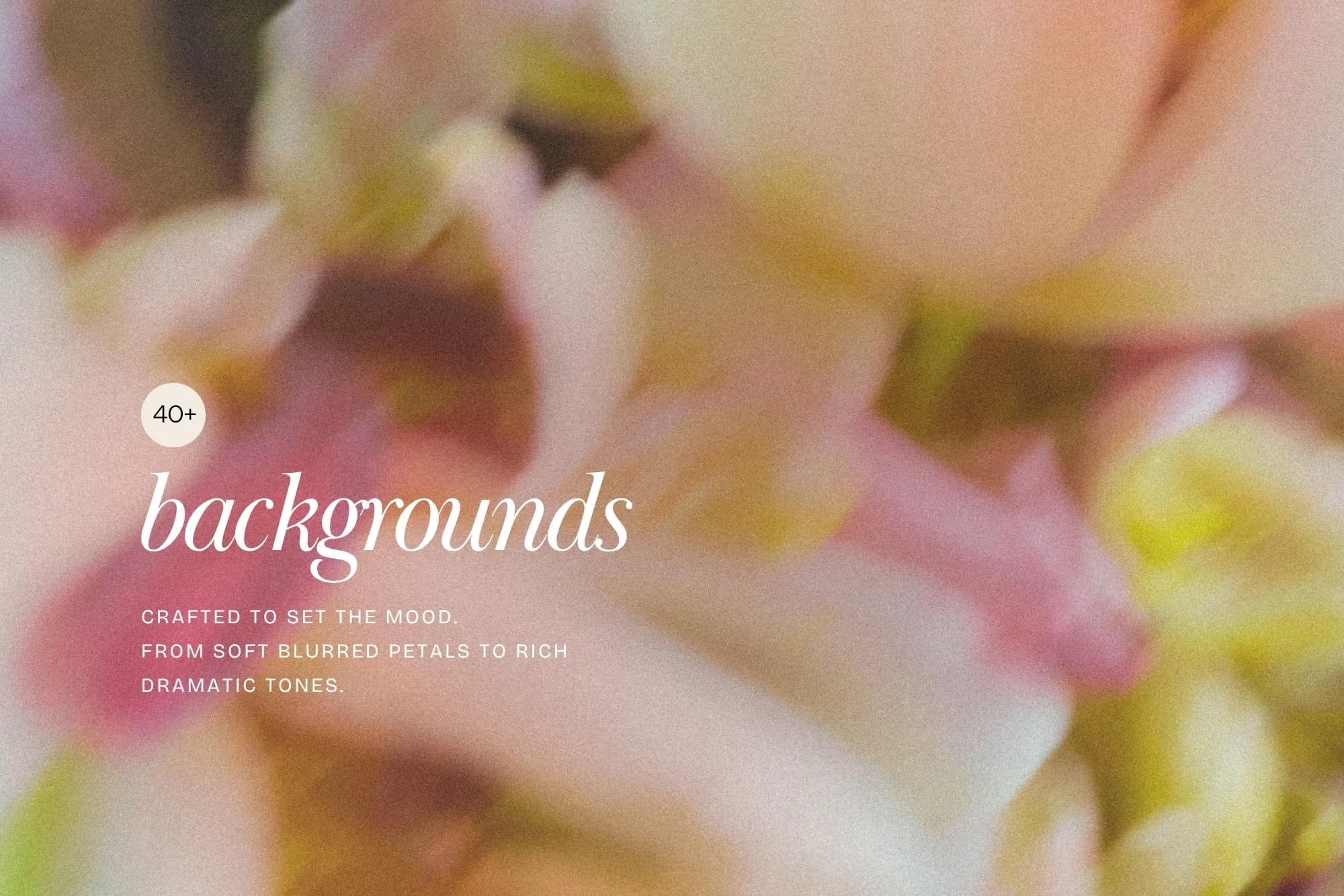 Pastel soft pink and green neutral natural blur background for graphic design projects