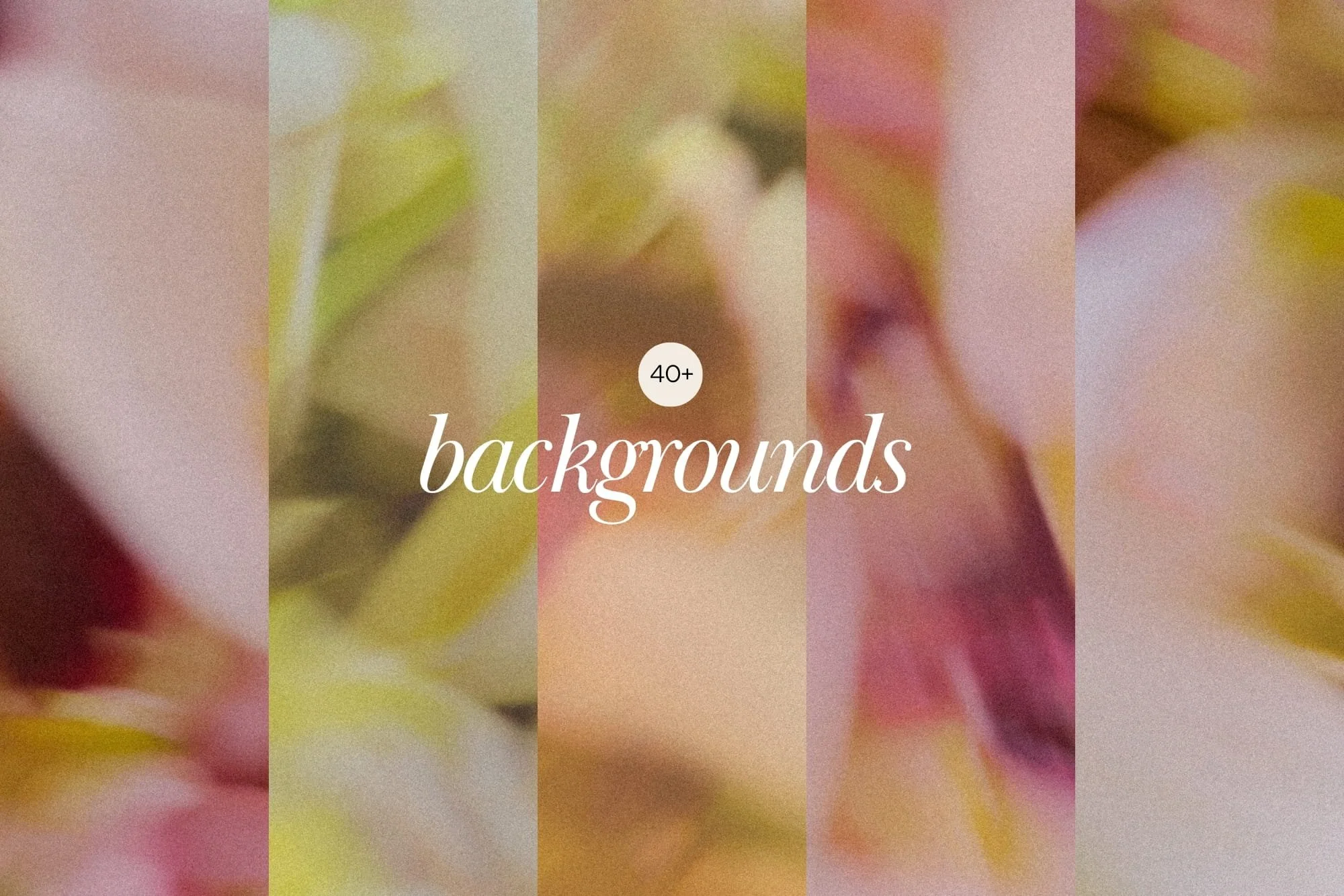 Tonal variation preview showcasing smooth gradients and fine art grain in the abstract floral textures background pack