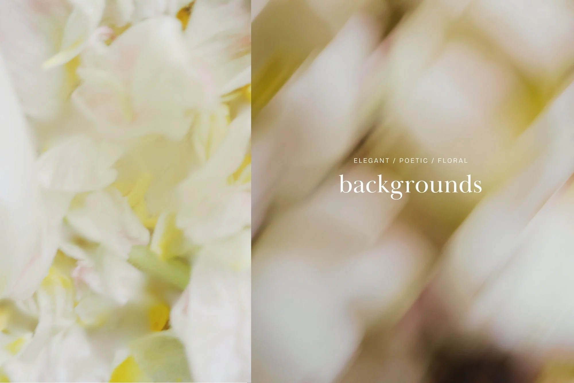 5-modern-stylish-fashion-soft-dreamy-blur-background-for-canva.jpg