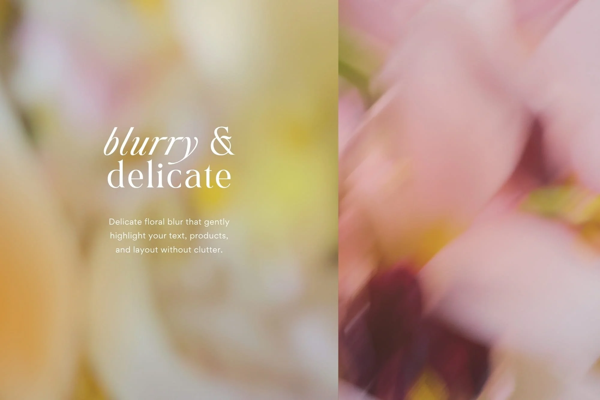 Split layout slide titled Blurry & Delicate featuring soft ivory and tender pink blurred flower petals, tailored for gentle wellness, mental health, and beauty visuals.