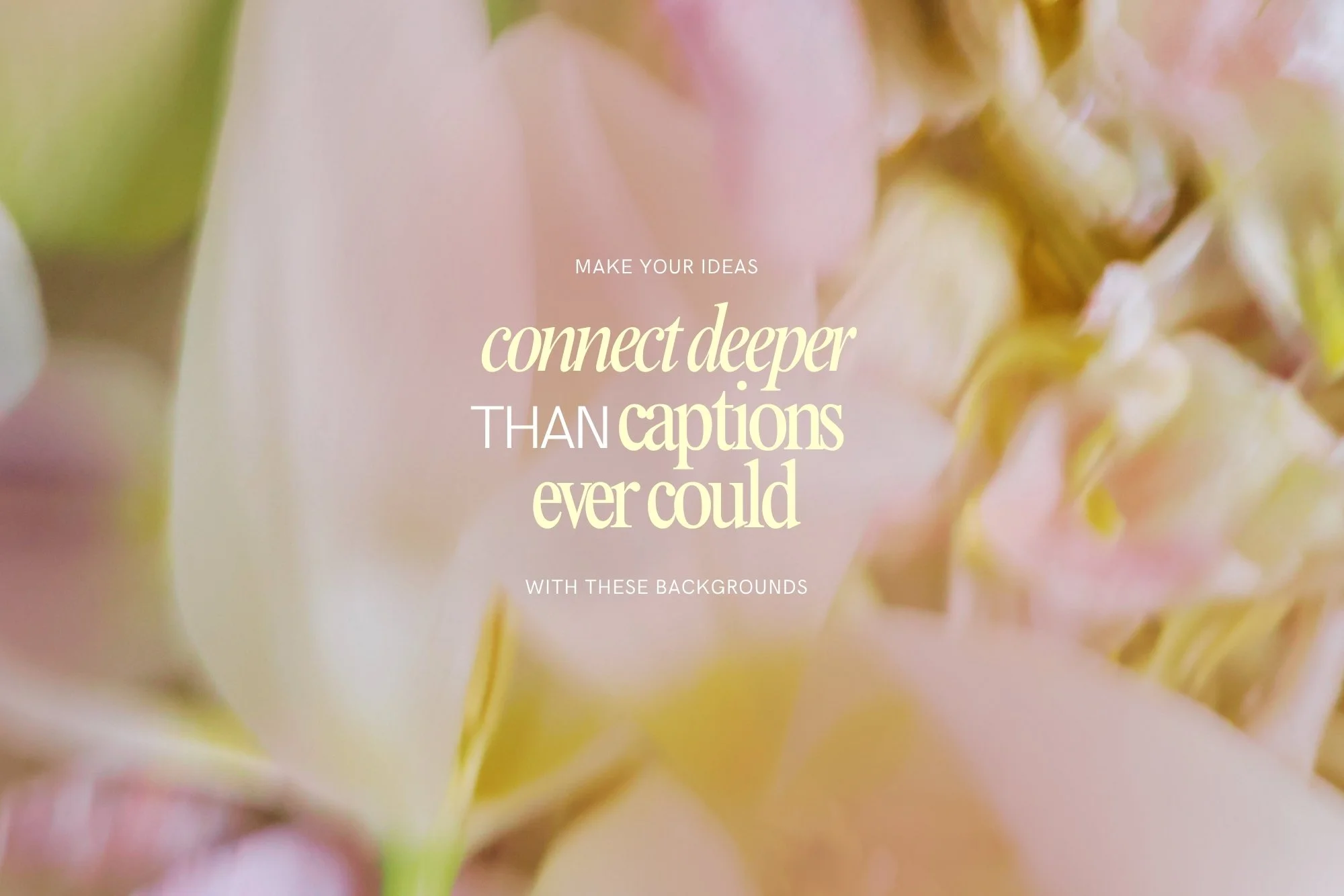 38-pastel-delicate-pink-floral-blur-background.jpg