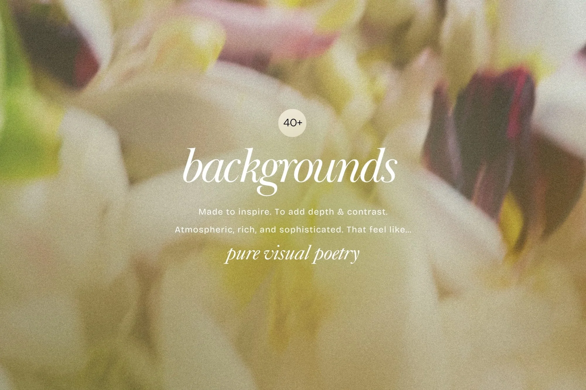 Soft green and light cream blurred floral background texture, created for delicate brand identity, wellness coaches, and romantic social media graphics.