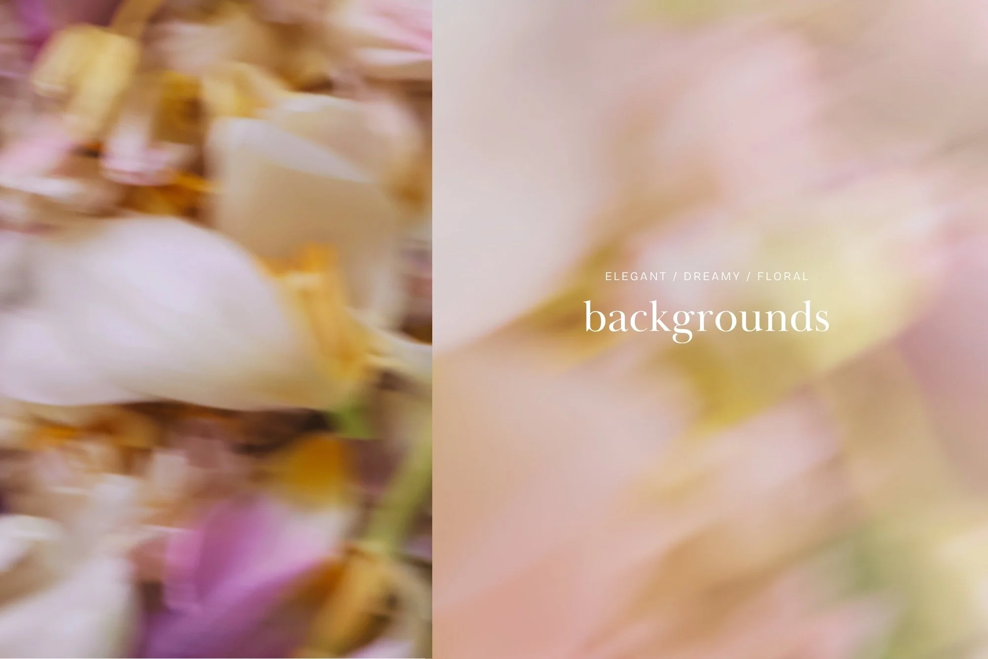 22-trendy-delicate-petals-blur-floral-spring-backgrounds.jpg