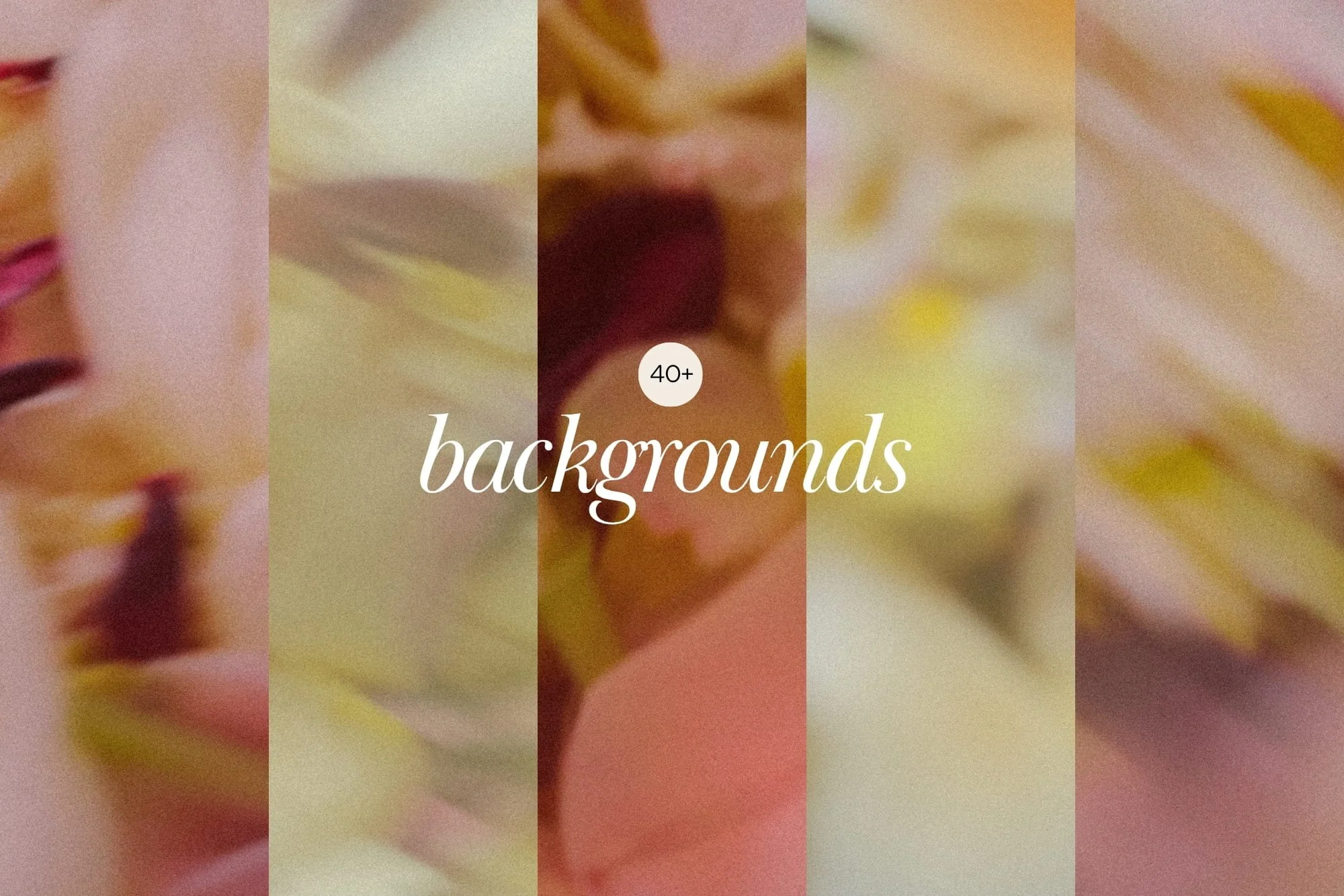 Color palette showcase displaying soft blush, green, and pastel yellow blurred botanical background textures included in the Lovehaze graphic collection.