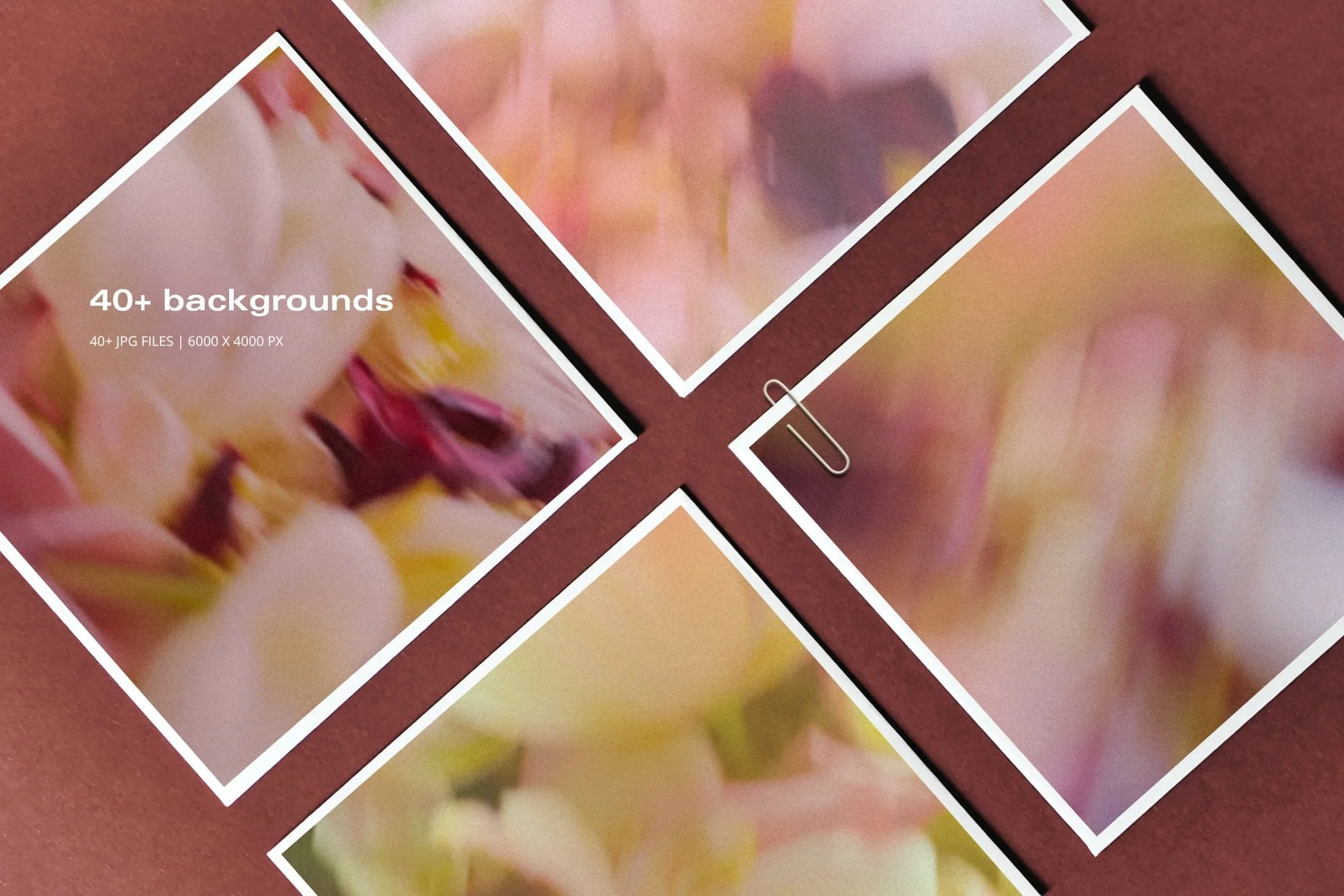 Digital papers and backdrops with deep plum and warm neutral blurred florals