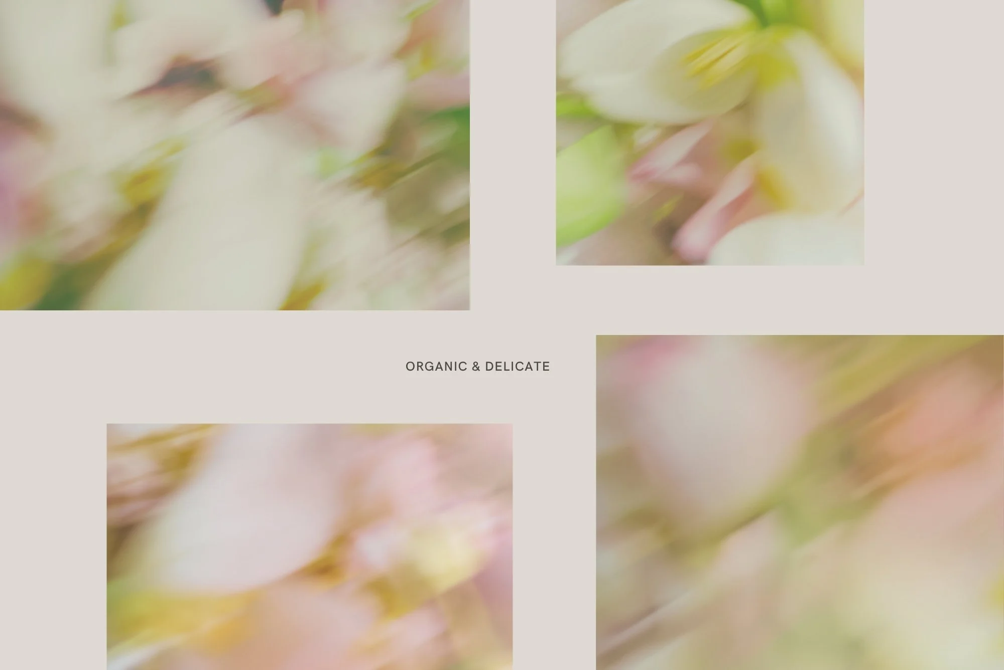 9-organic-delicate-abstract-pastel-floral-backgrounds.jpg