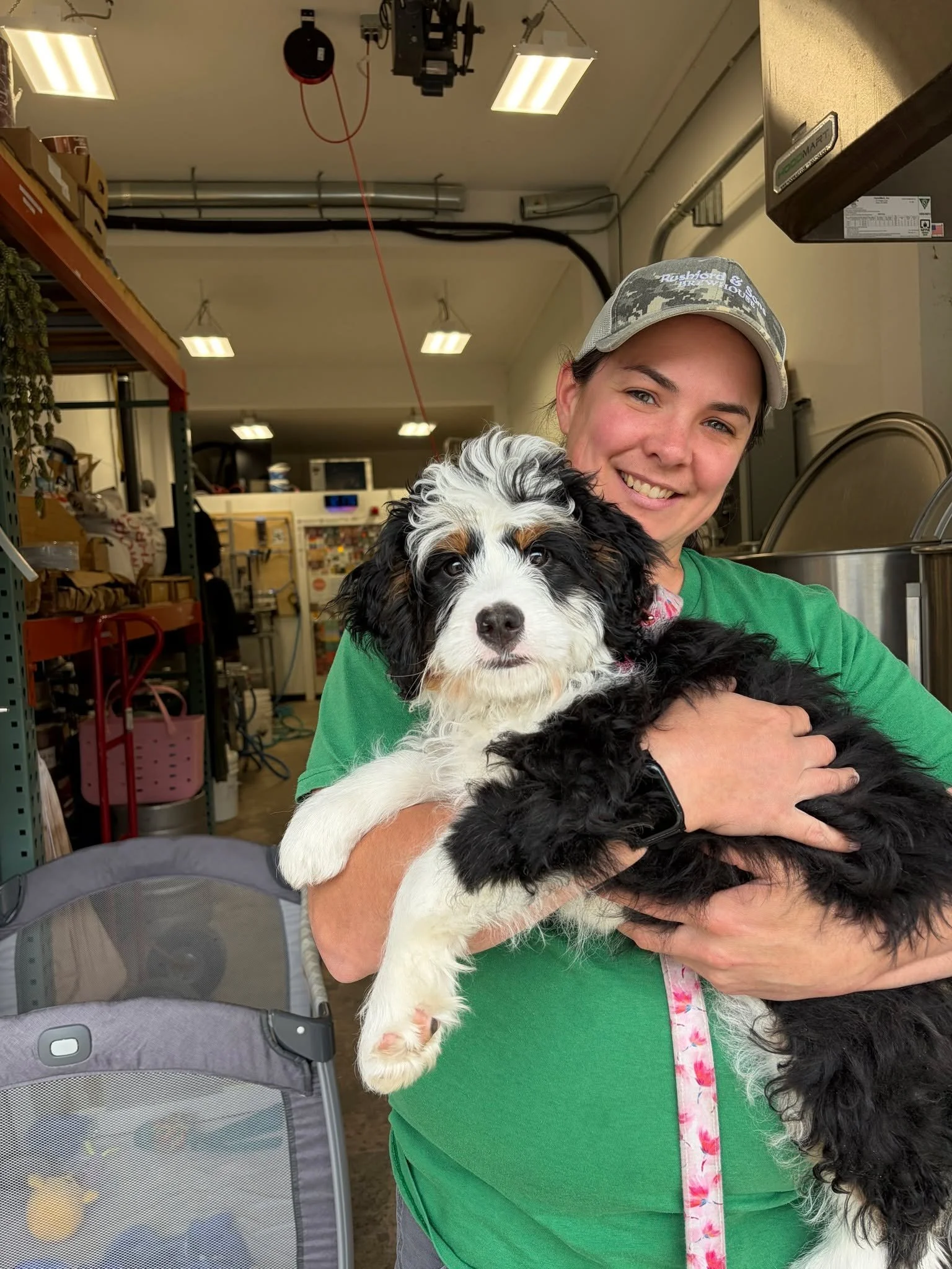 Stevie is overseeing operations at the brewery today, alongside her human (and our favorite head-brewer) Becca!!! 💗🐾

Show us your fur-babies! 

#dogmomlife #doglover #bringyourdogtoworkday #brewerydog #fridayvibes