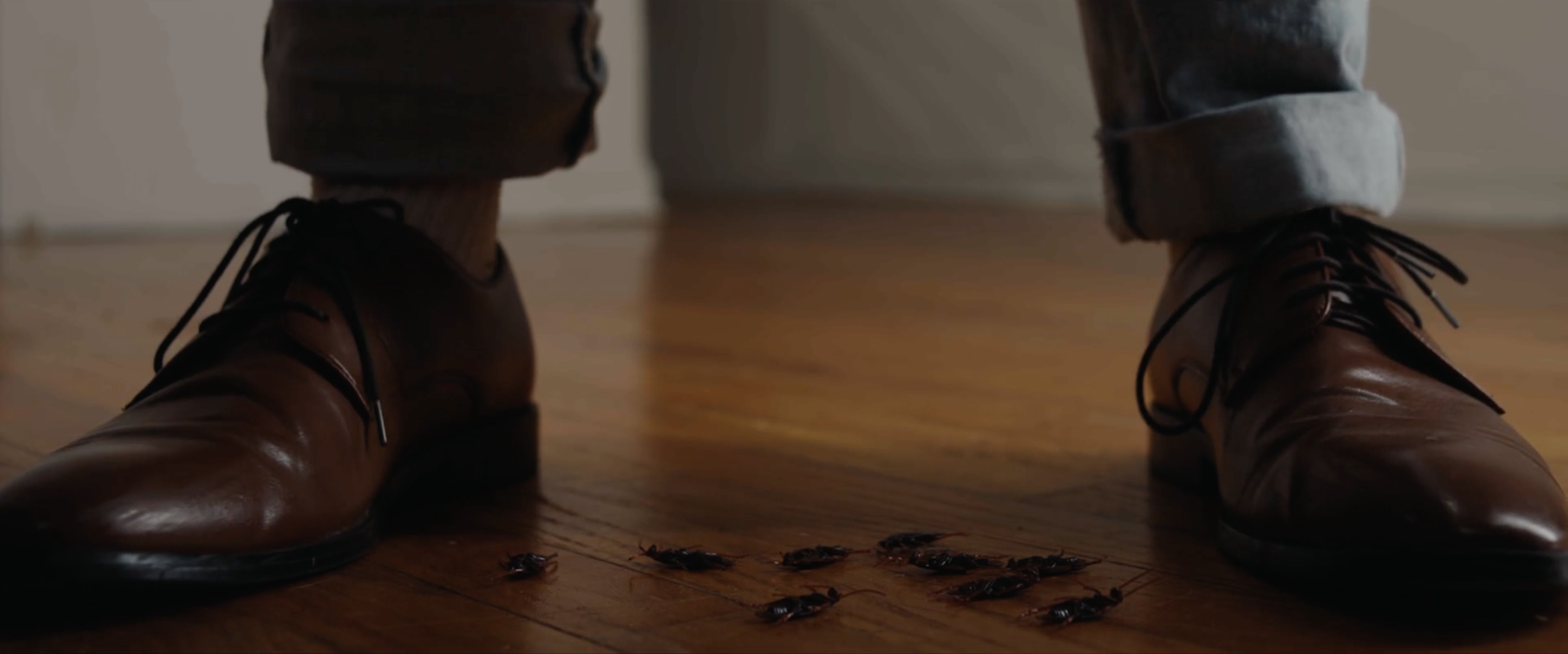 Close-up of a person's feet wearing brown leather boots and jeans, standing on a wooden floor near several small insects.