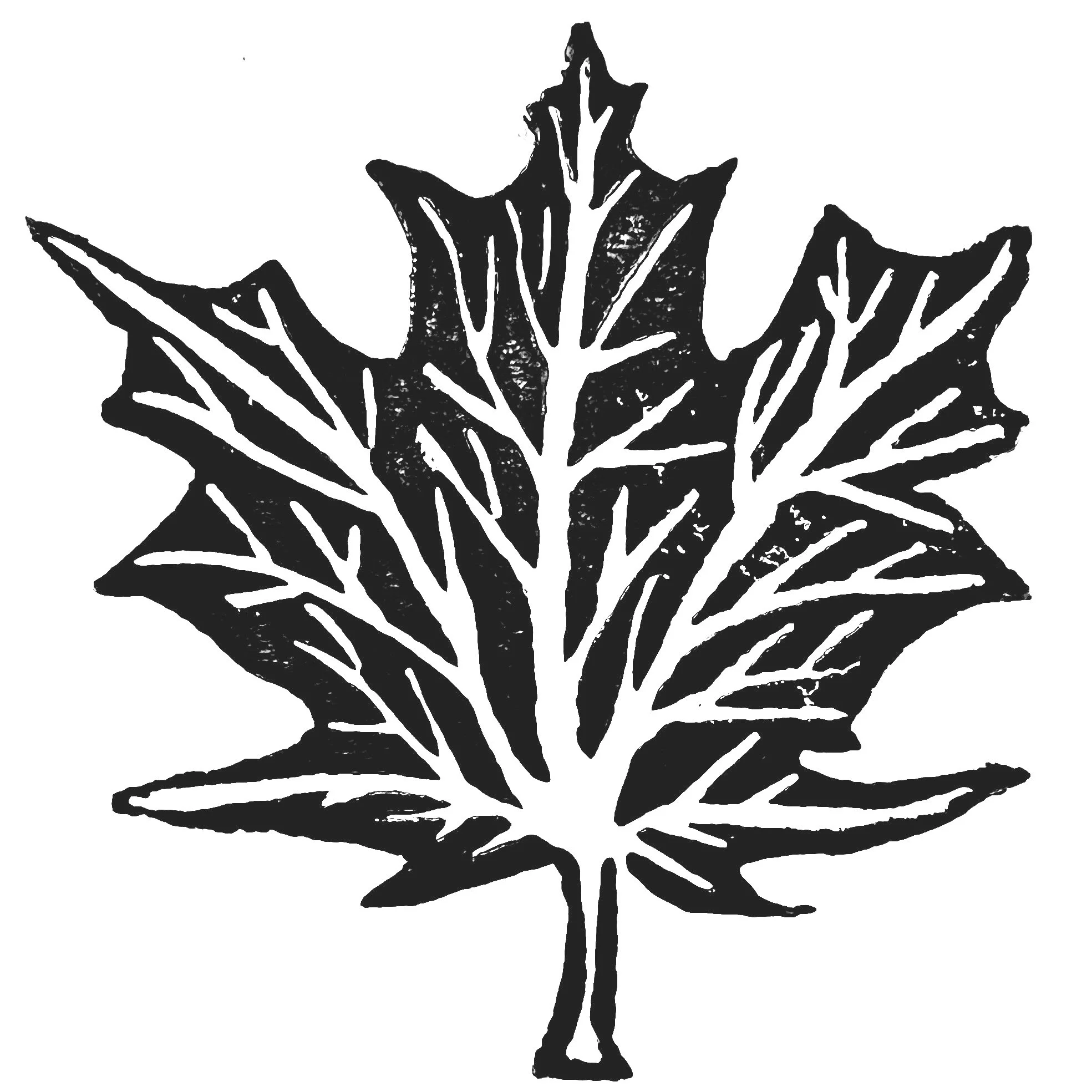 Sophie Holliday therapist Midmaples Therapy Portland