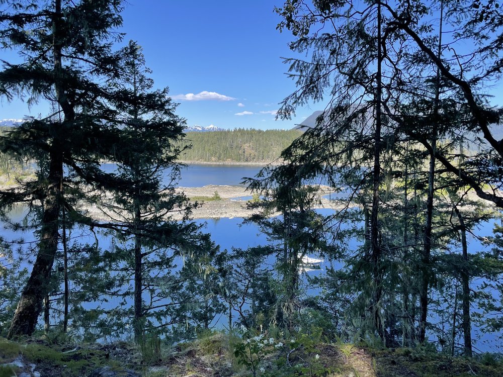 View of Ocean on Sunshine Coast Trail