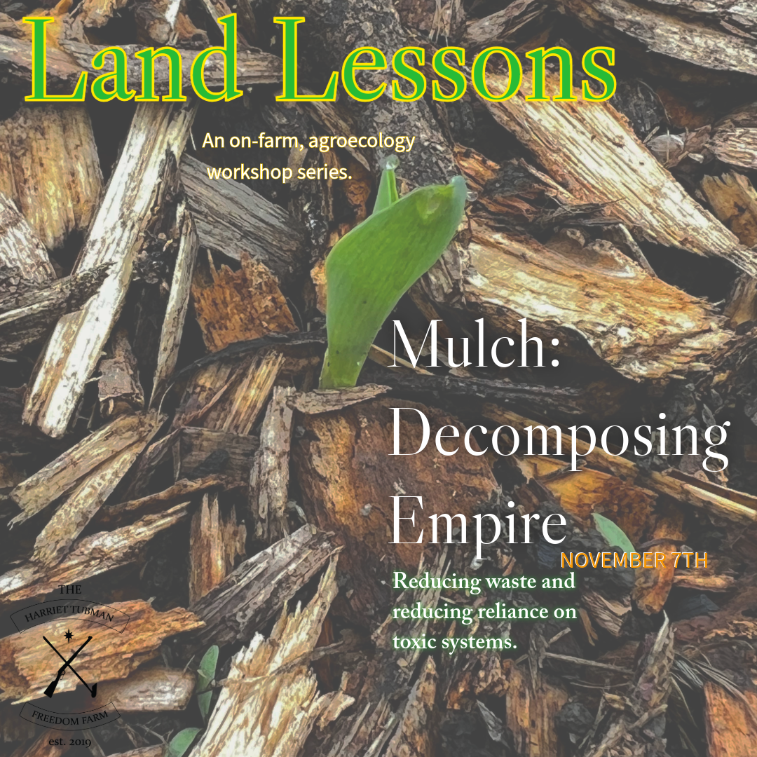 land lessons-7.png