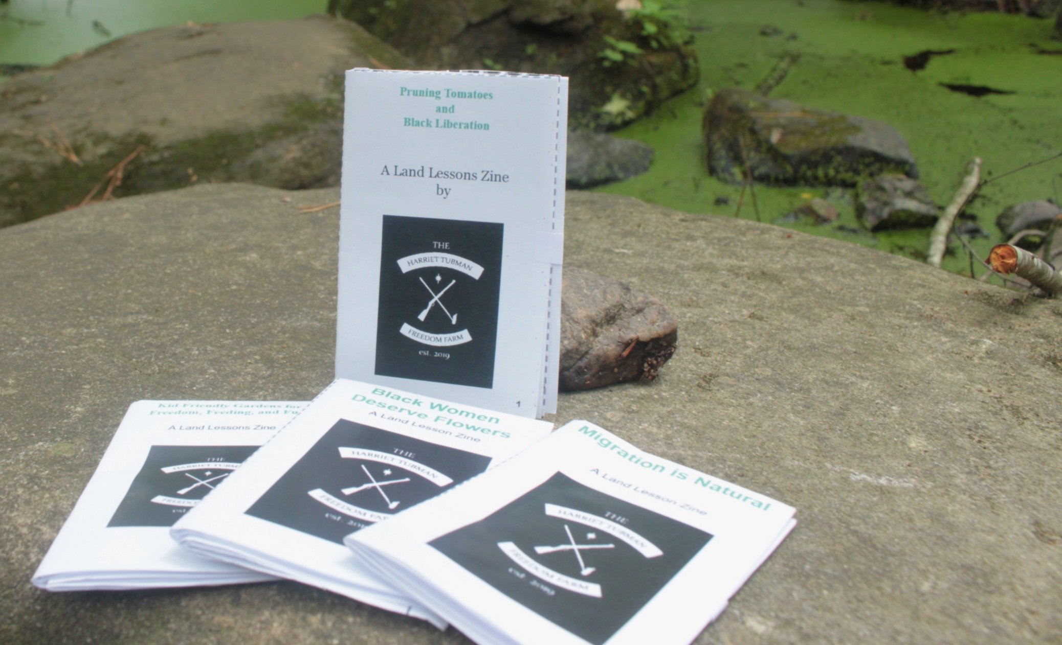 Zines! Why?